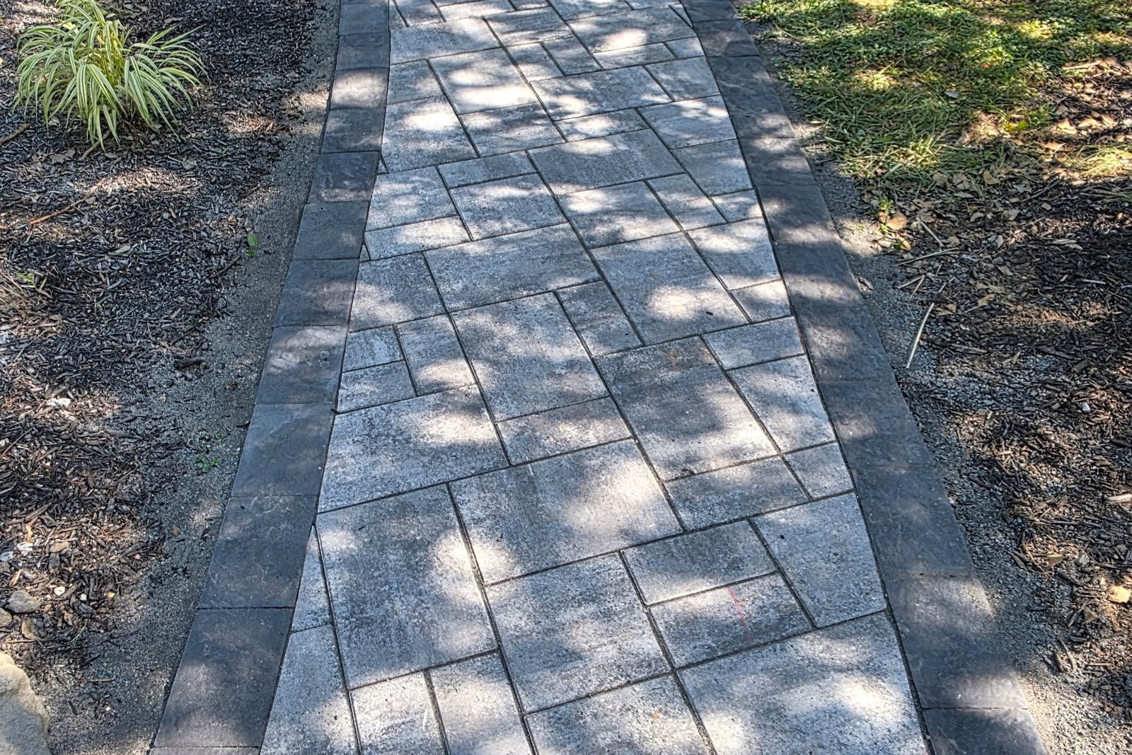 A paver walkway laid across a lawn between planted beds